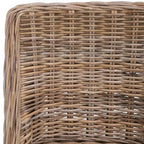 Sedie da pranzo senza braccioli in rattan, set da 2, grigio